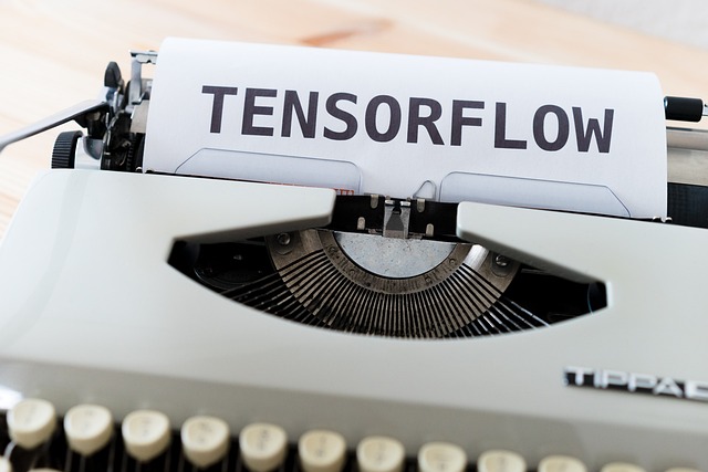 트럼프 새로운 정책 스타게이트