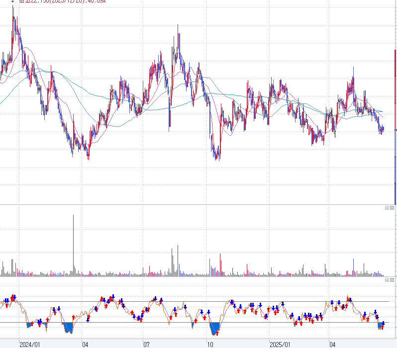 코로나19 진단키트 반려동물 관련주 바디텍메드